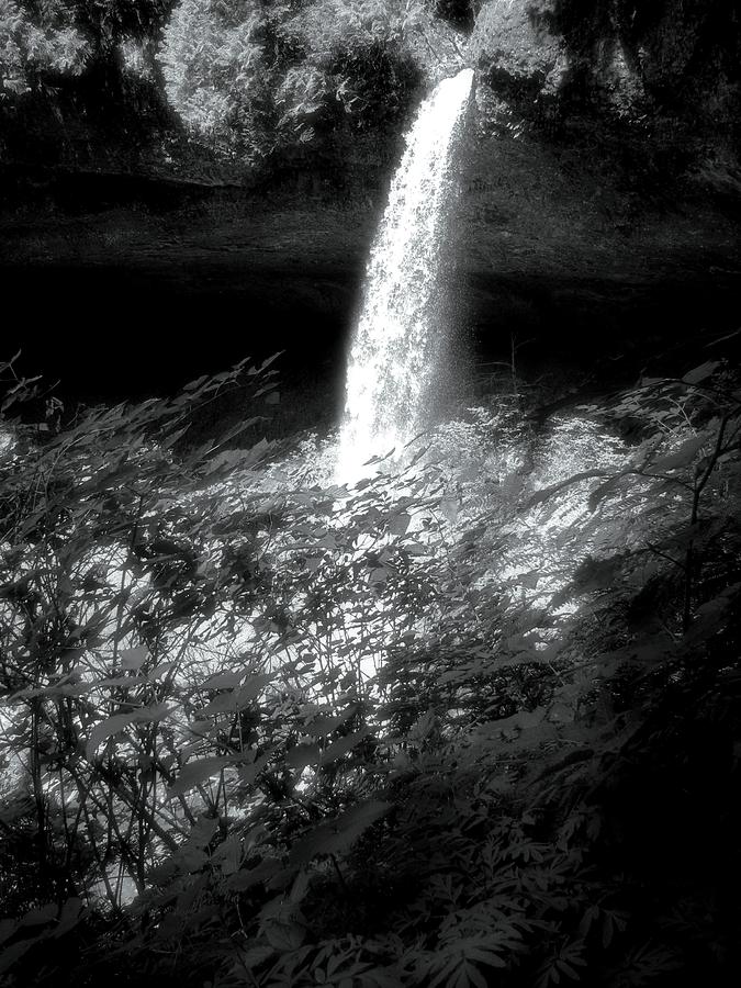 Silver Falls Silver Photograph by Lora Fisher