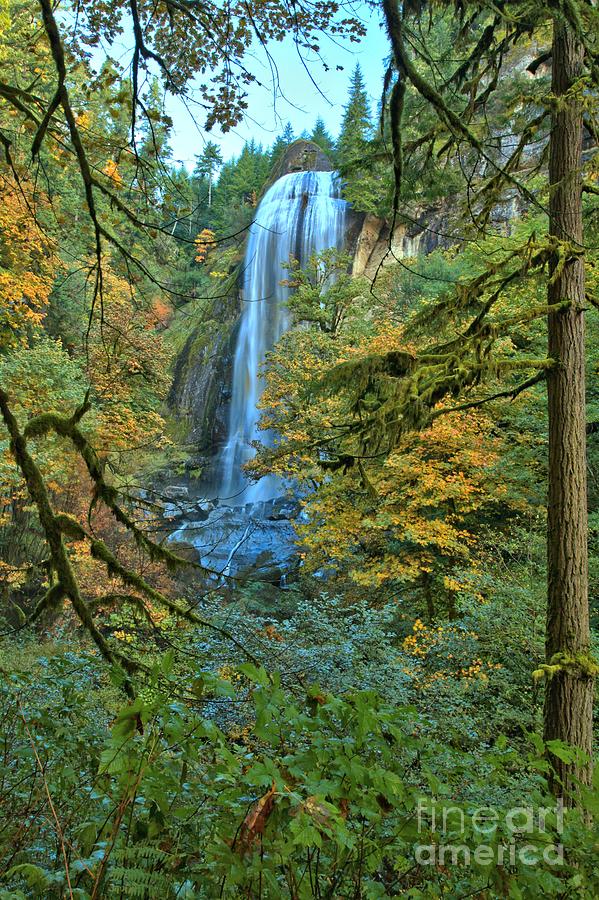 Silver Falls Through The Trees Photograph by Adam Jewell