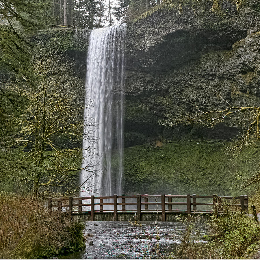 Silver Falls Photograph by Wes and Dotty Weber