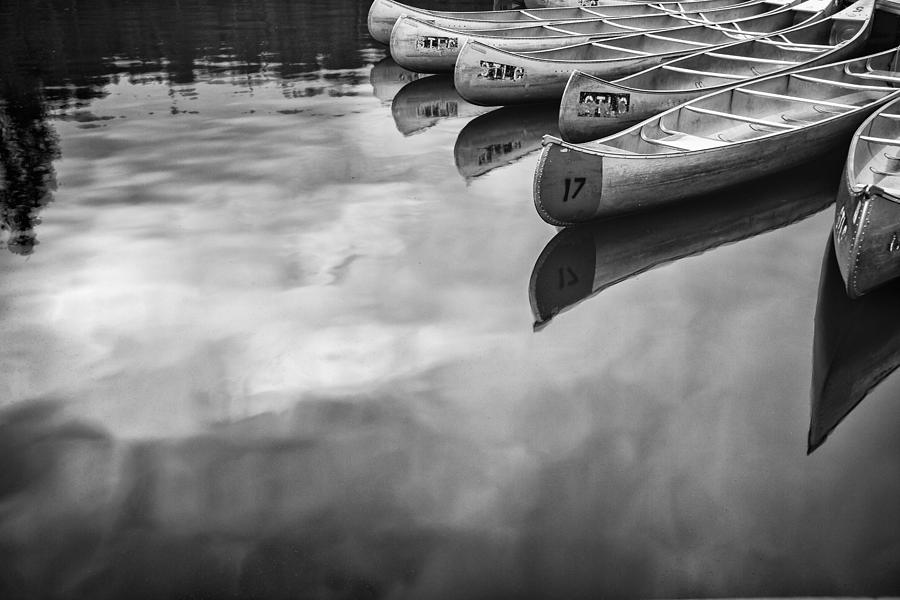 Silver Fish III Photograph by Jon Glaser