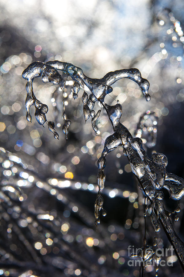 Silver Ice Photograph by Jim McCain