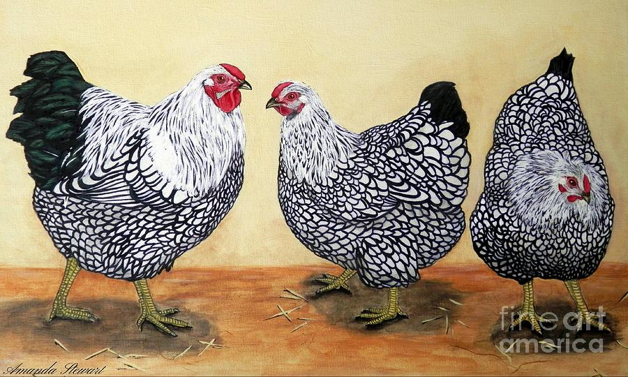 Rooster Painting - Silver Laced Wyandottes by Amanda Hukill