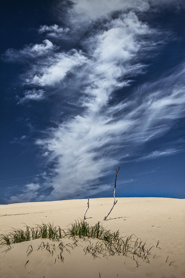 Silver Lake Dune with Grass Dead Trees and Cirrus Clouds Photograph by Randall Nyhof
