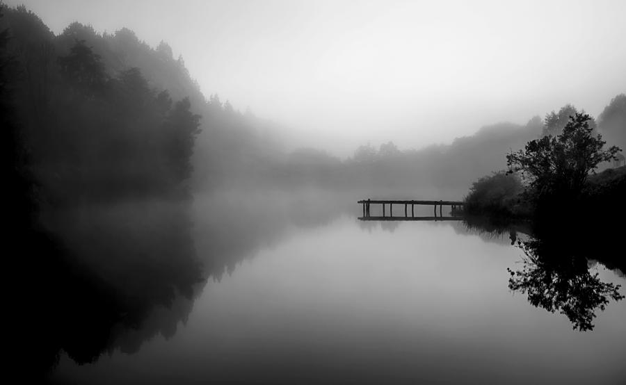 Silver Mist Photograph by Willem Nel - Fine Art America