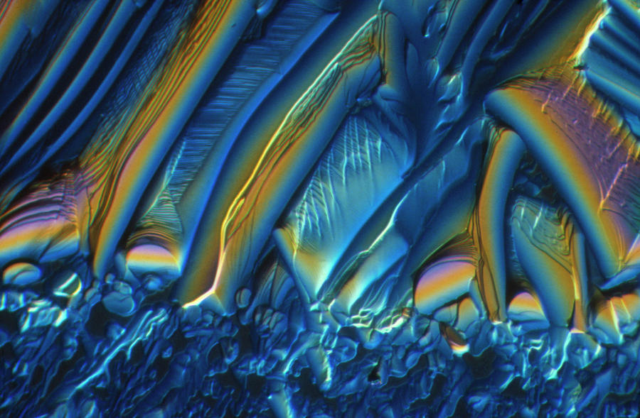 Silver Nitrate Crystals Photograph by Stephen A. Skirius/science Photo Library