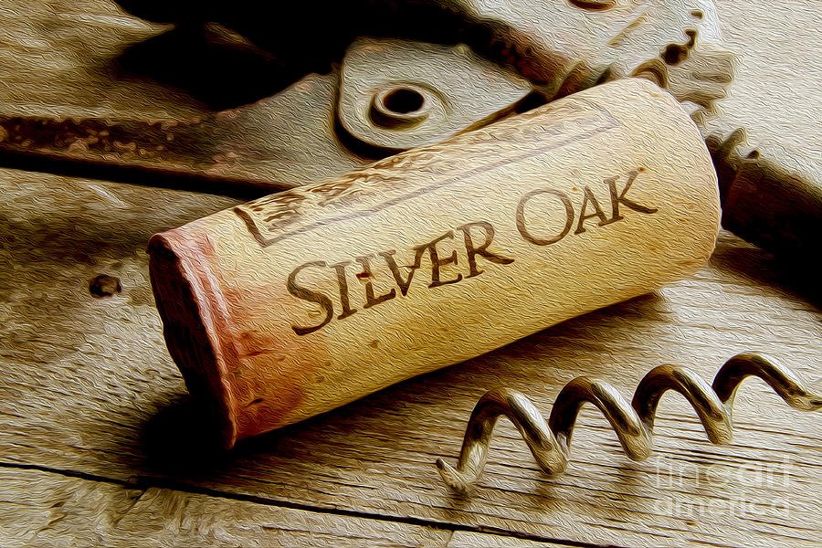 Silver Oak Cork painting Mixed Media by Jon Neidert