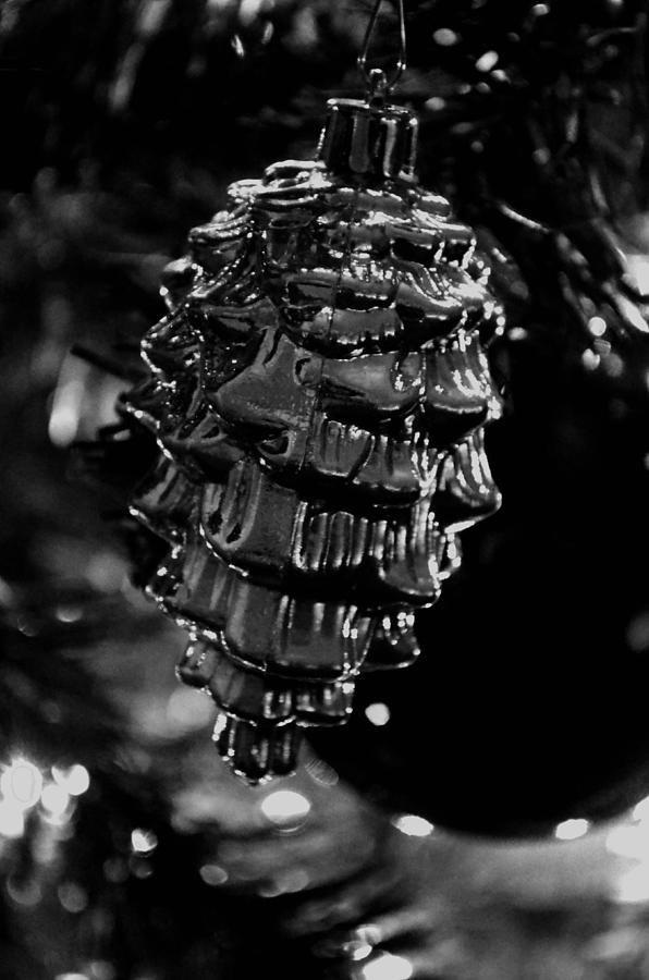 Silver Ornament Photograph by Maria Urso