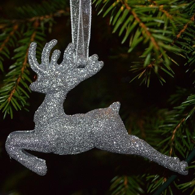 Holiday Photograph - Silver Rudolph. by Eve Tamminen
