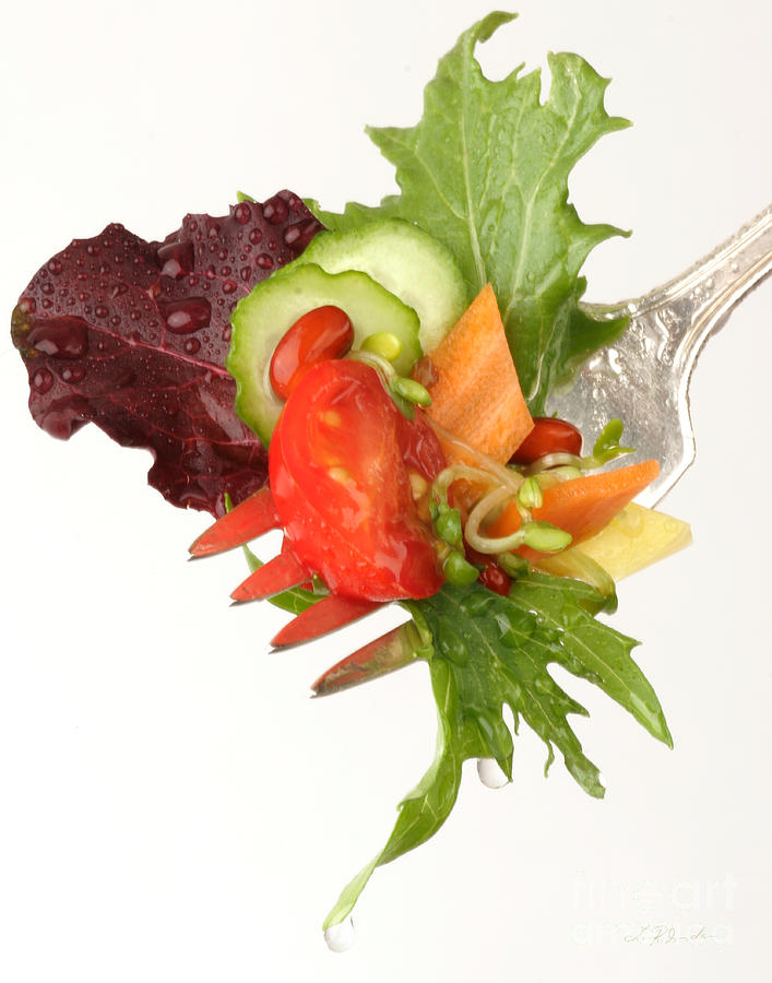 Salad Photograph - Silver Salad Fork by Iris Richardson