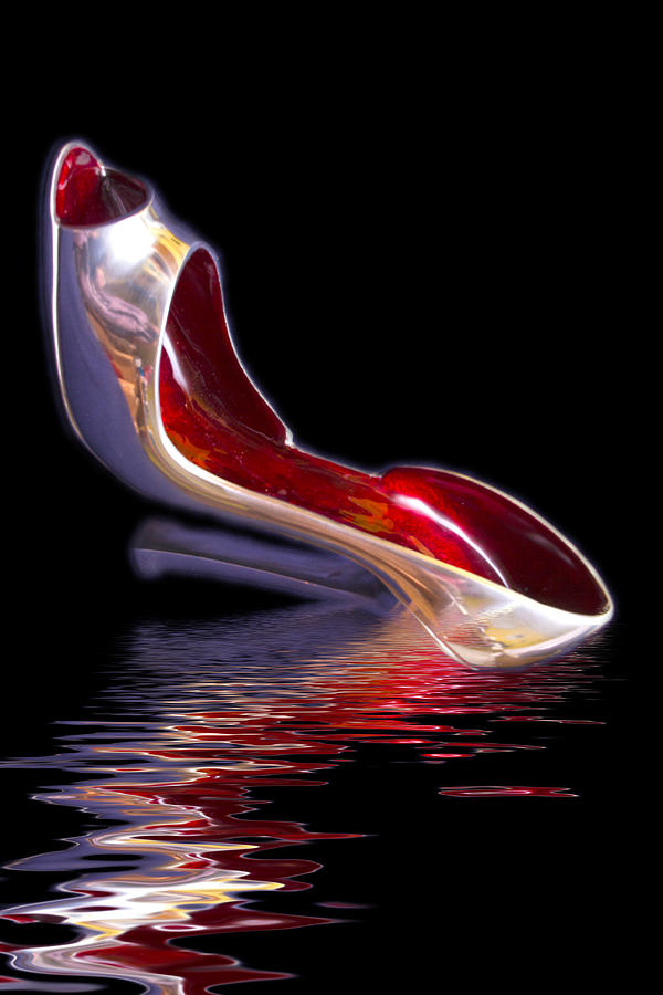 Silver Shoe Dreams Photograph by David French