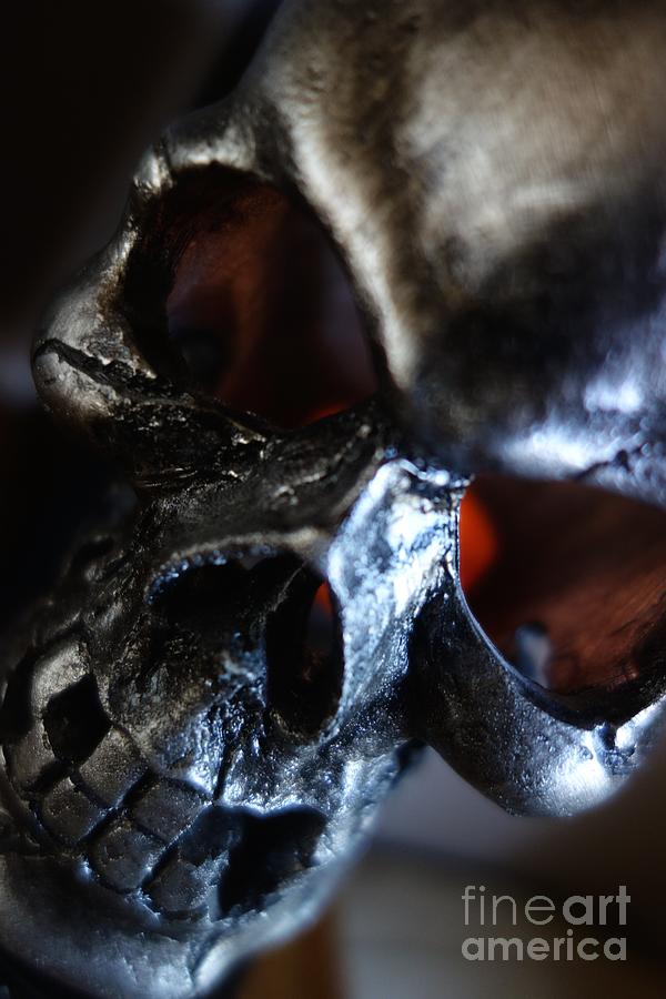 Halloween Photograph - Silver Skull by Jacqueline Athmann