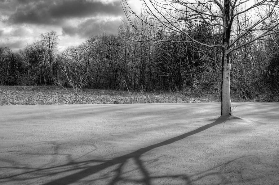 Silver Snow Shadow Photograph by Richard Gregurich