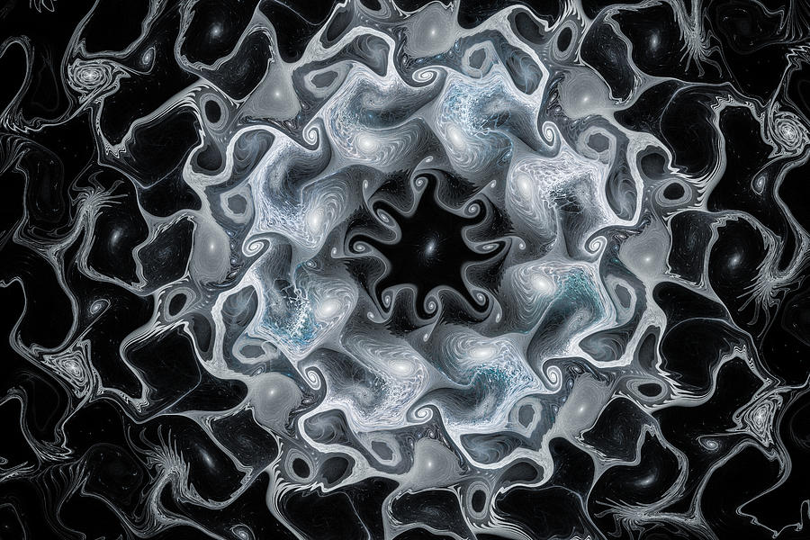 Silver Space Flower Fractal Art Digital Art by Matthias Hauser