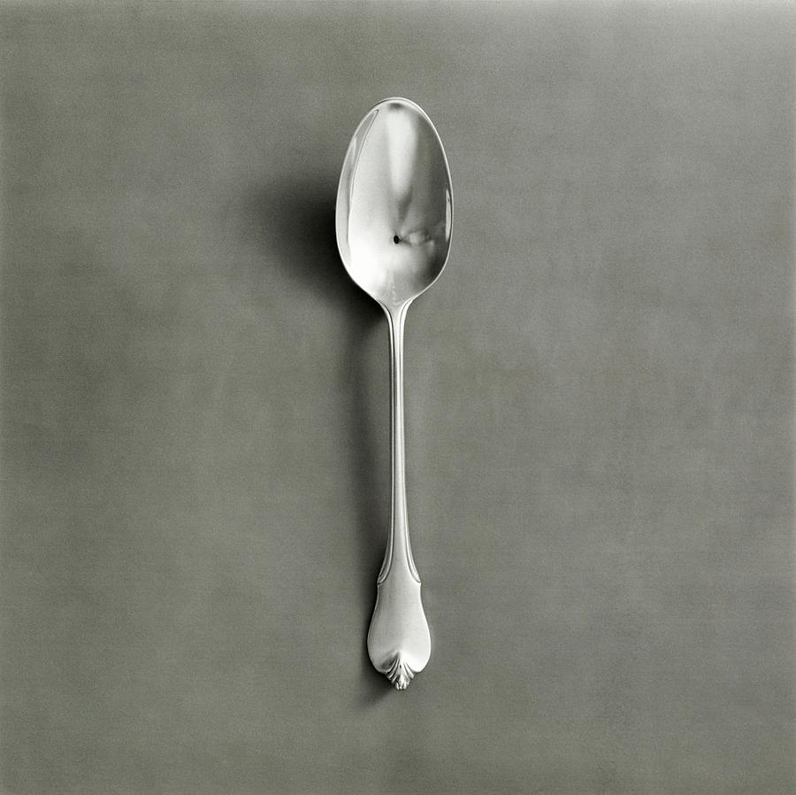 Silver Spoon By Wallace Photograph by Tom Yee