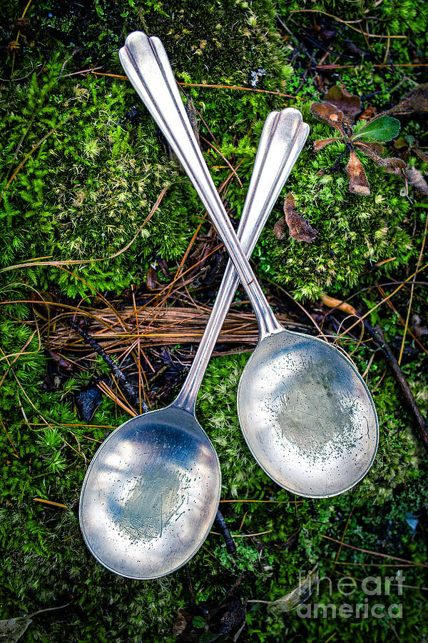 Silver Spoons  Photograph by Edward Fielding