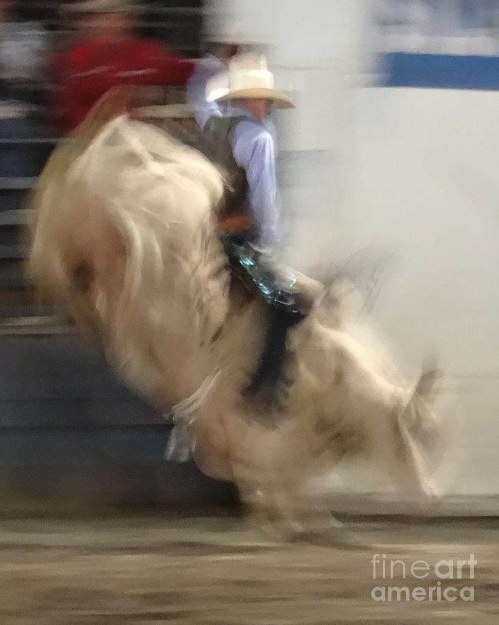Silver State Stampede 2014 Bull Rider Photograph by Christopher Plummer