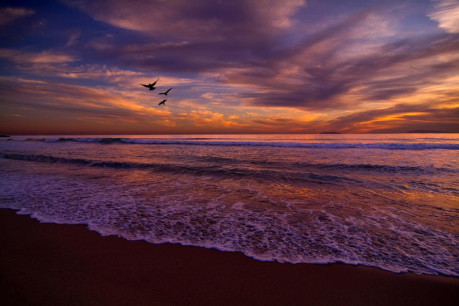 Silver Strand Photograph by Brian Enright - Fine Art America