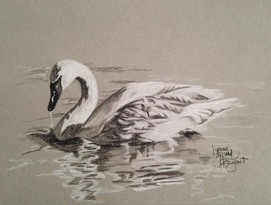 Silver Swan Drawing by Lynne Hurd Bryant - Fine Art America