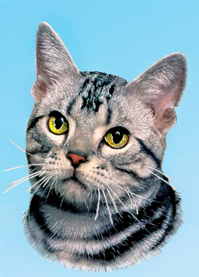 Animal Painting - Silver Tabby Kitten Original Painting For Sale by Bob and Nadine Johnston