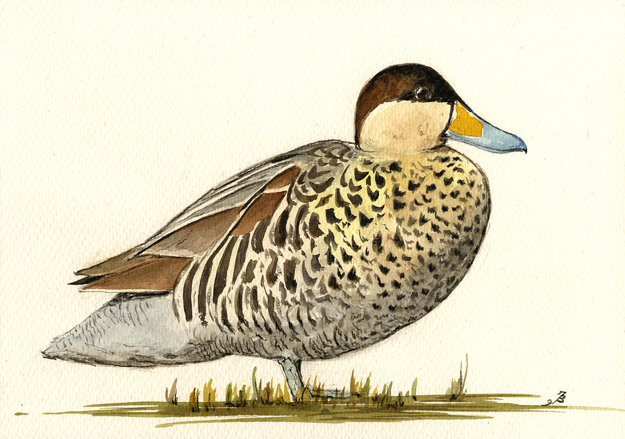 Duck Painting - Silver Teal by Juan  Bosco
