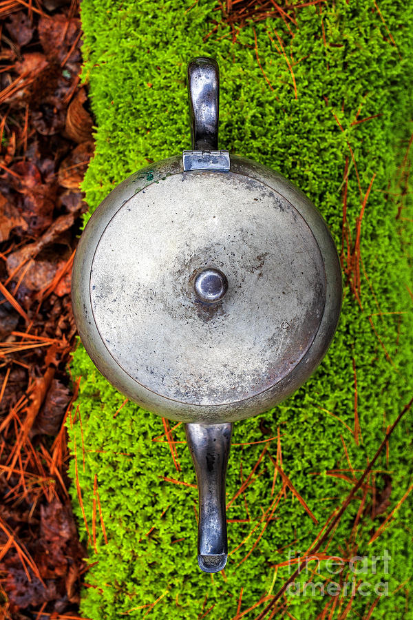 Nature Photograph - Silver teapot in the forest by Edward Fielding