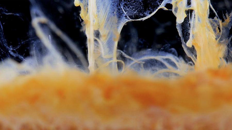 Silver Thiosulphate Precipitate Photograph by Science Photo Library Silver Thiosulphate Precipitate Photograph by Science Photo Library