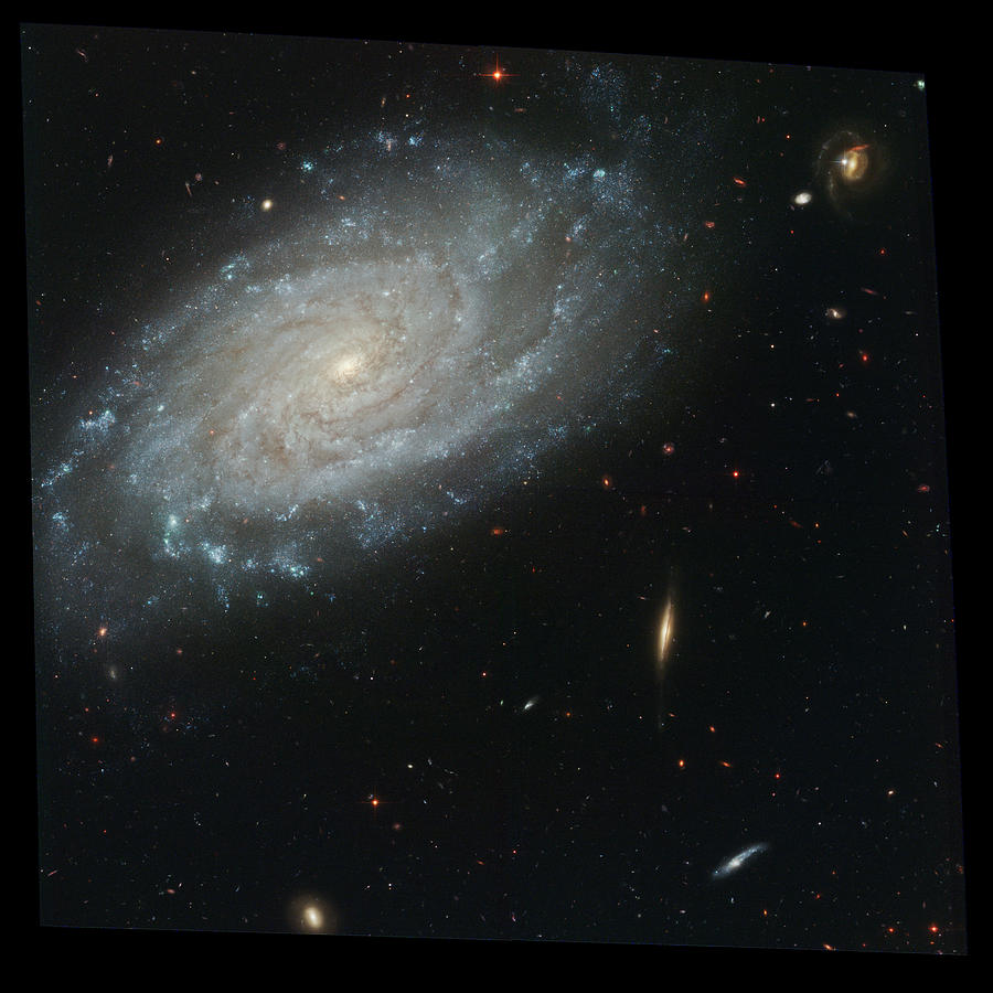 Silverado Galaxy, Ngc 3370, Ugc 5887 Photograph by Science Source