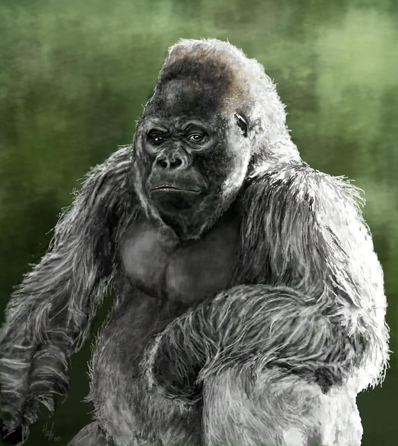 Silverback Digital Art by Hannah Taylor - Fine Art America