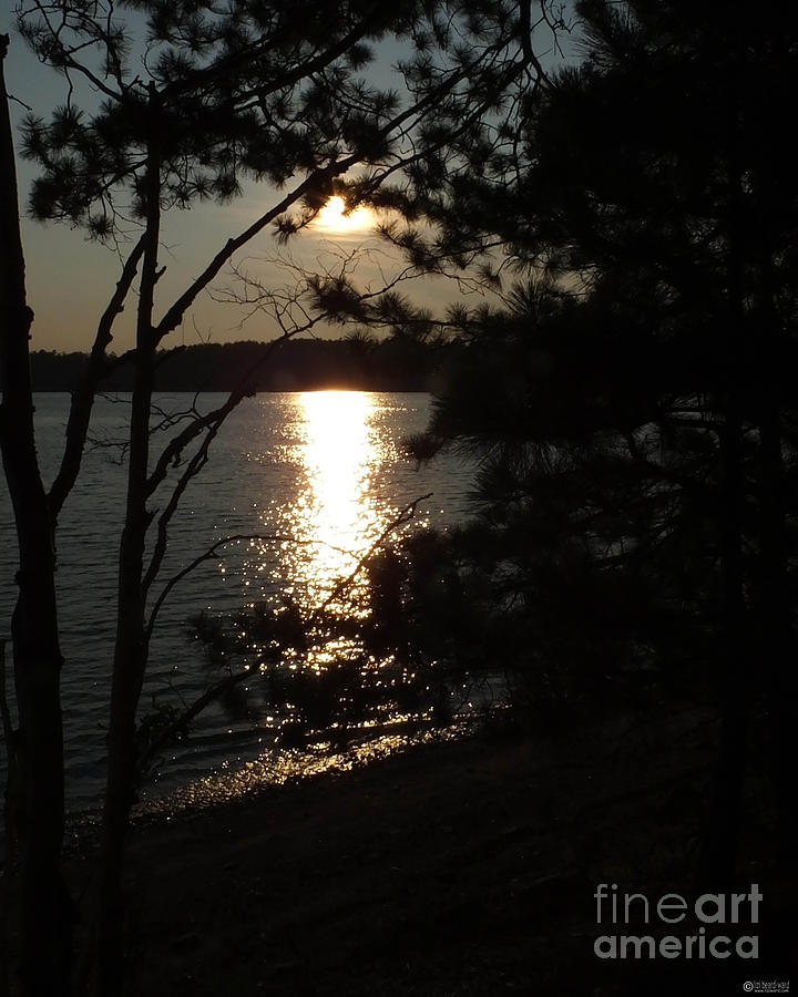 Silvered Sunset Lake Pleasant New York Photograph by Lizi Beard-Ward