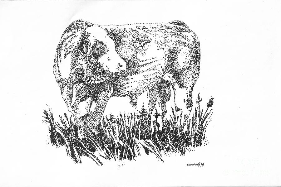 Simmental Bull Drawing by Larry Campbell