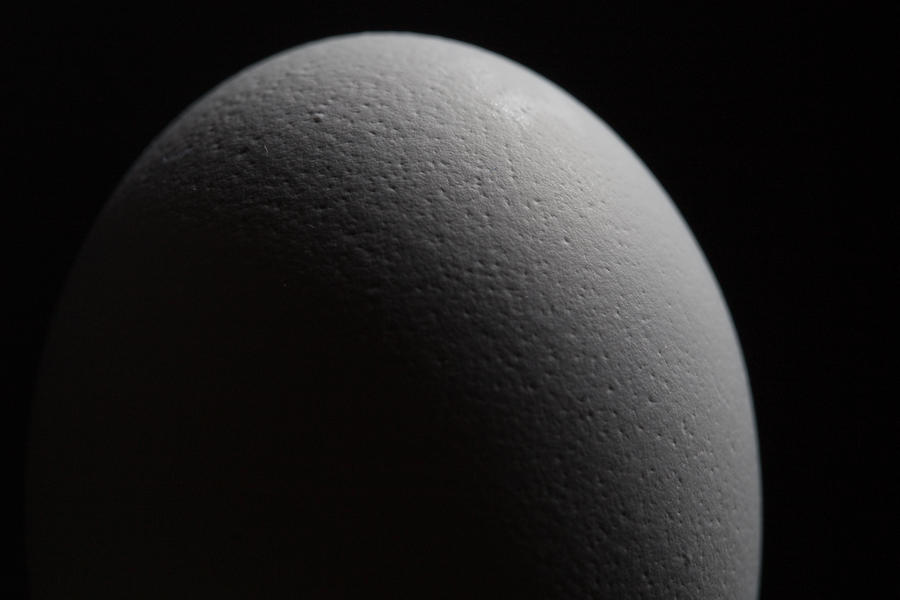 Egg Photograph - Simple Egg by Thomas Parsons