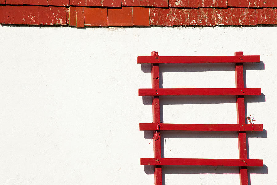Simple Red Photograph by Karol Livote