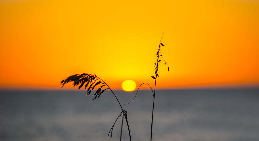 Simple Sunset  Photograph by Kevin Cable