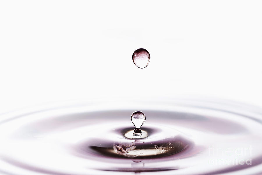 Simple Water Drop on White Photograph by Sabine Jacobs