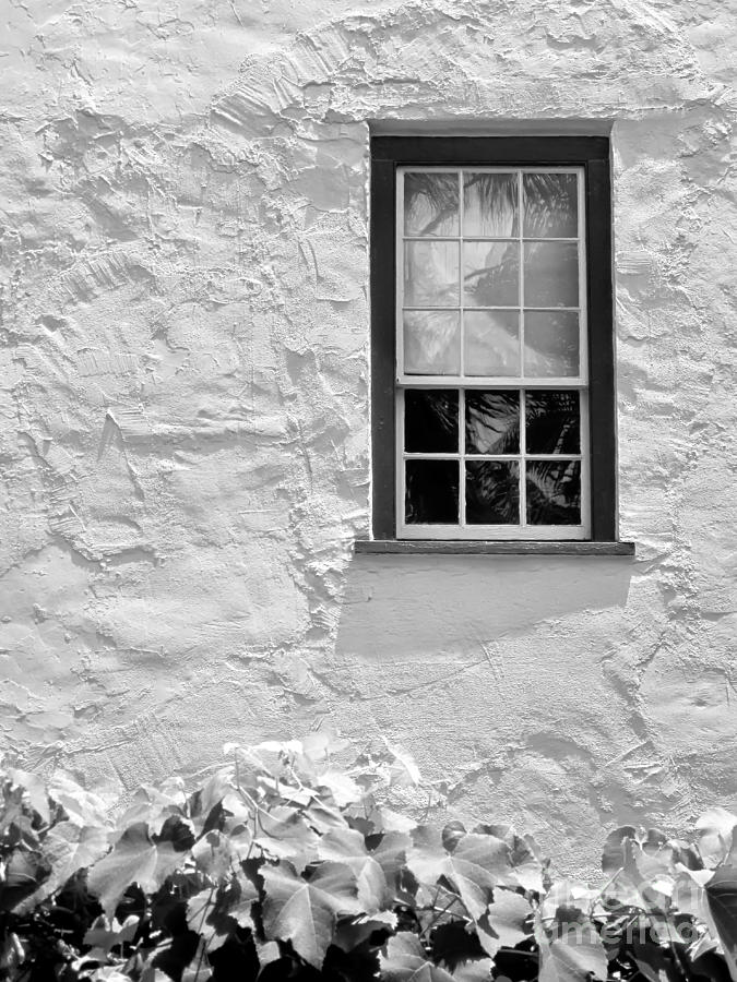 Simple Window Mono Photograph by Kate McKenna