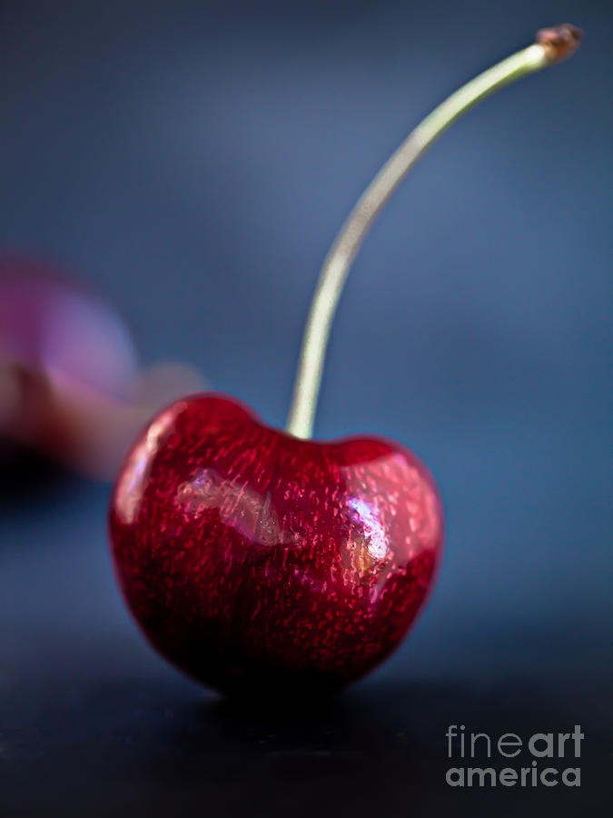 Simply Cherry by Patricia Bainter Simply Cherry by Patricia Bainter