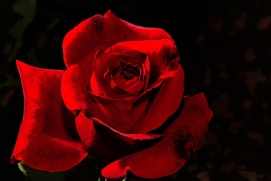 Simply Red Rose Photograph by Phyllis Denton