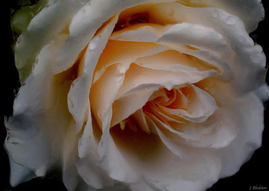 Simply The Rose - Flower Art Painting by Jordan Blackstone