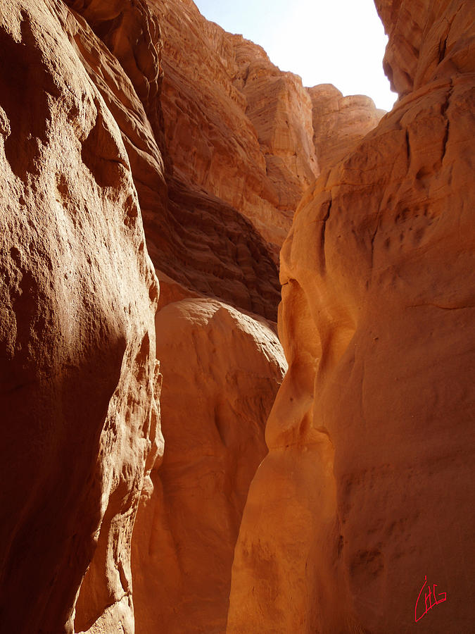 Nature Photograph - Sinai Desert  Canyon Region  walking Path Egypt by Colette V Hera Guggenheim