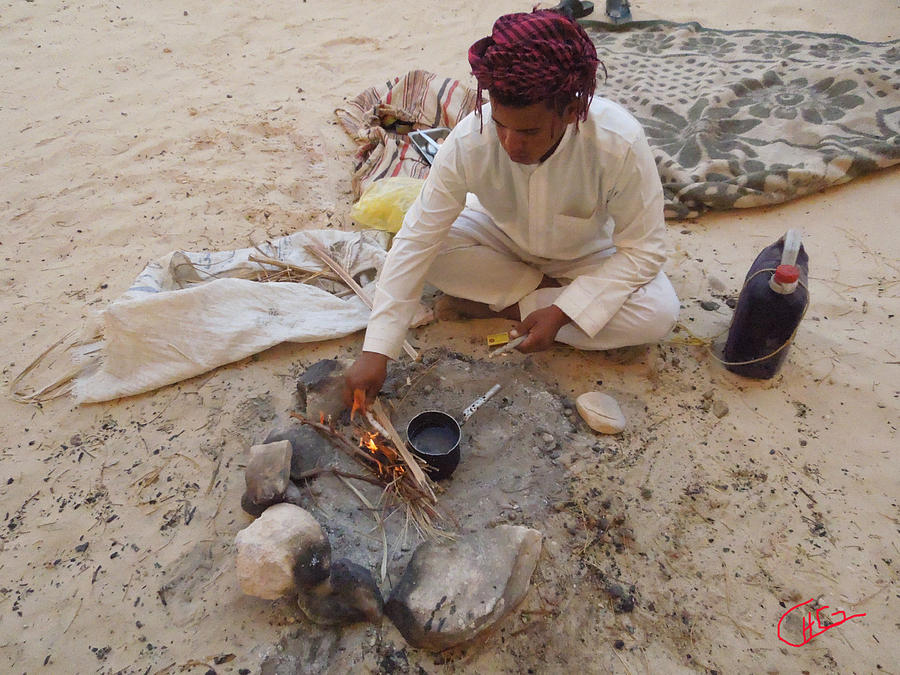 Sinai Desert Life Egypt Photograph by Colette V Hera Guggenheim