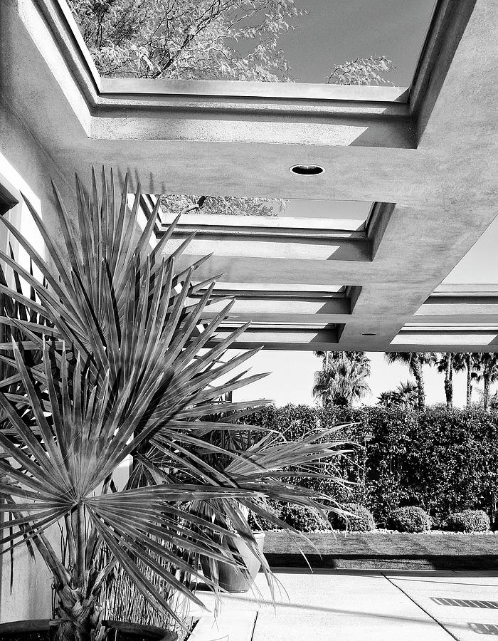 THE SINATRA PATIO NOIR Palm Springs CA Photograph by William Dey