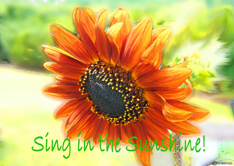 Sing in the Sunshine Digital Art by Lizi Beard-Ward