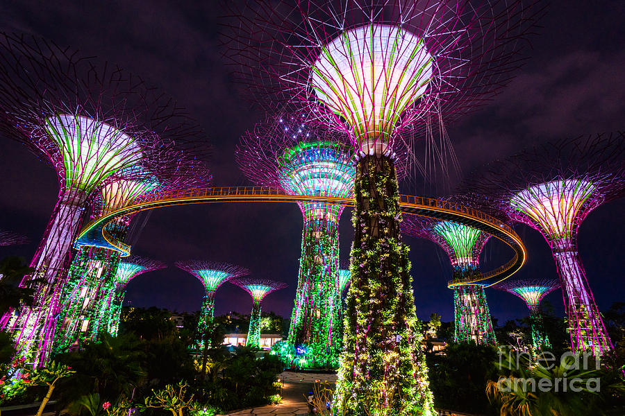 SINGAPORE - Gardens by the bay Photograph by Luciano Mortula