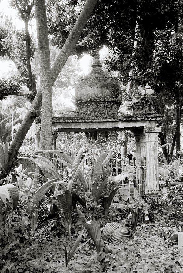 Singapore Cemetery Photograph by Shaun Higson