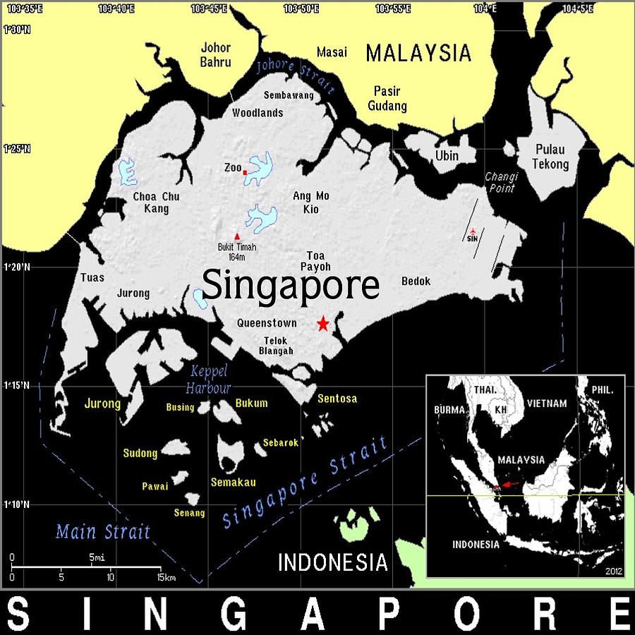 Singapore Exotic Map Mixed Media by Florene Welebny