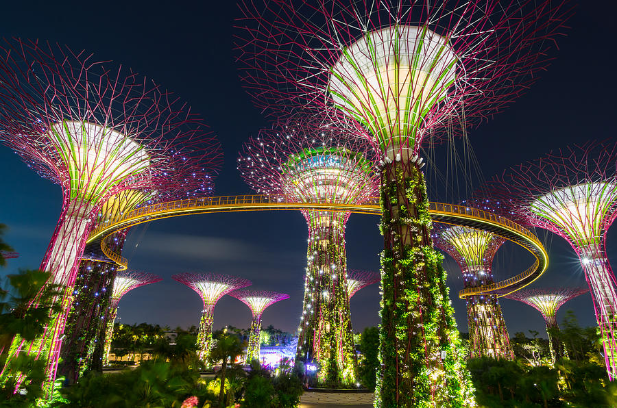 Singapore Supertree Grove Photograph by Andre Distel