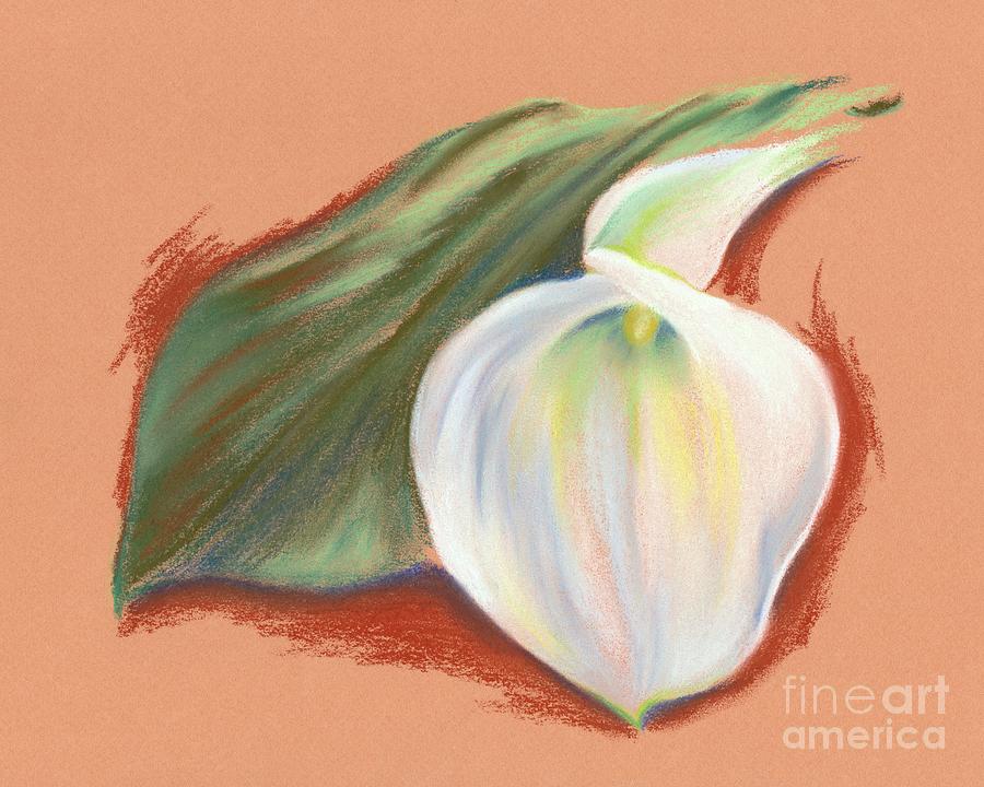Single Calla Lily and Leaf Pastel by MM Anderson