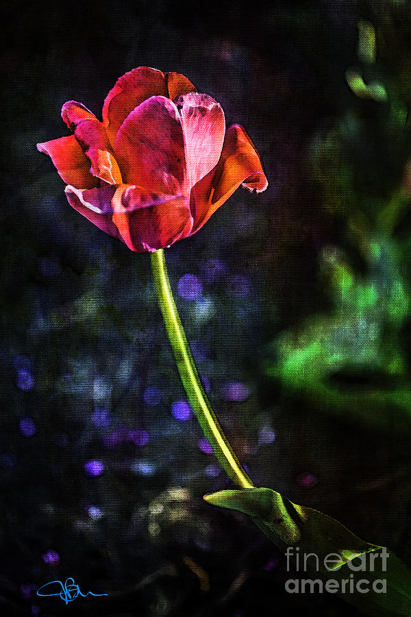 Single Dark Pink Tulip Lives in the Forest  Painting by Jani Bryson