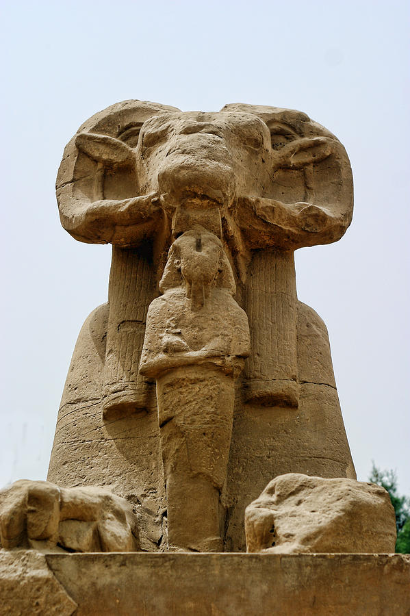 Single Eyptian Rams Head Statue Photograph by Linda Phelps