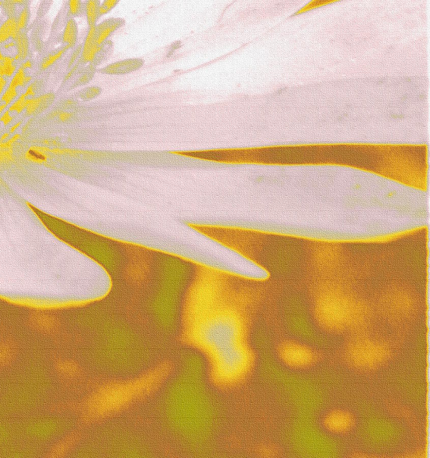 Flowers Still Life Photograph - Single Flower Portrait Quadruplet BR by Nicki Bennett